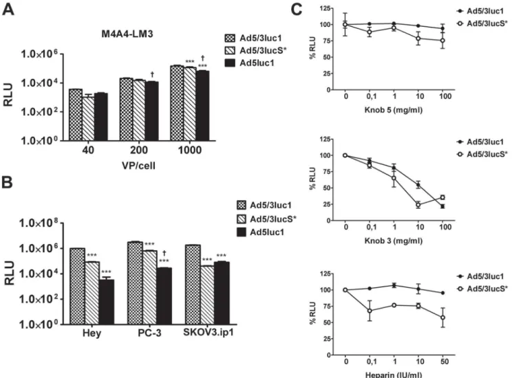 Figure 1. Cancer cell transduction in comparison to Ad5 is retained despite KKTK motif mutation of the Ad5/3 shaft