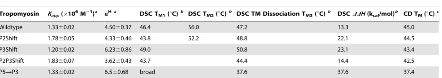 Table 2. The actin affinity and T M from the ellipticity at 222 nm and DSC melts.
