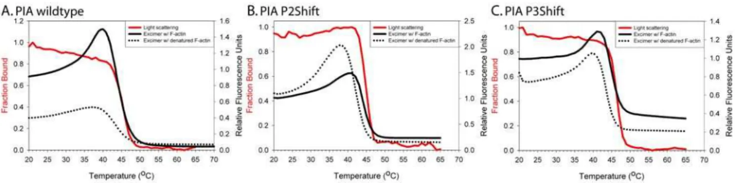 Table 3. The T M s of the light scattering, PIA excimer fluorescence, and unfolding.