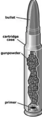 Figure 1 - Ammunition of small arms  (Pereira, 2010).