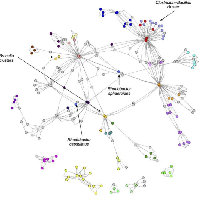 Fig 4. Best-Edges 3-way Czekanowski Network. 3-way Czekanowski network pruned by selecting the best and second best edge for each node
