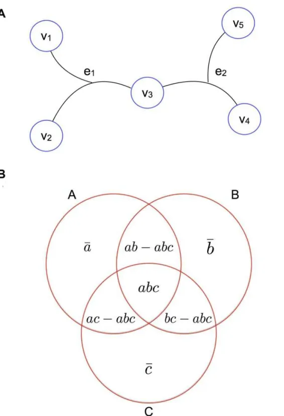 Fig 1. 3-way edges and intersections. (a) A small, 3-way network consisting of 5 nodes v 1 , v 2 , v 3 , v 4 and v 5 and two 3-way edges e 1 and e 2 