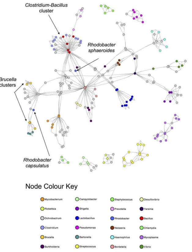Fig 2. Best-Edges 3-way Sørensen Network. 3-way S ø rensen network pruned by selecting the best and second best edge for each node