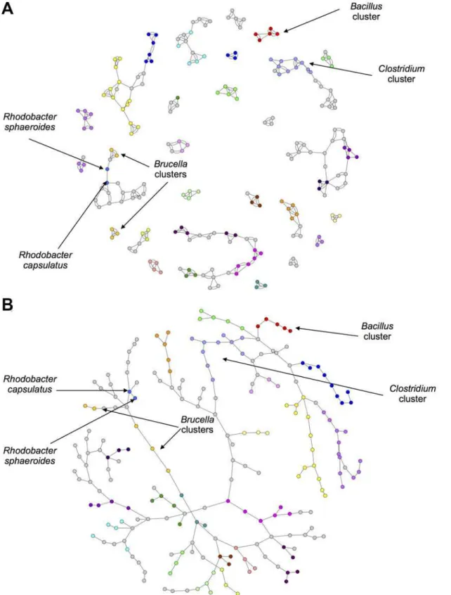 Fig 3. 2-way S ø rensen Networks. (a) 2-way S ø rensen Best Edges Network (b) Maximum Spanning Tree (MST) of the all-vs-all S ø rensen network
