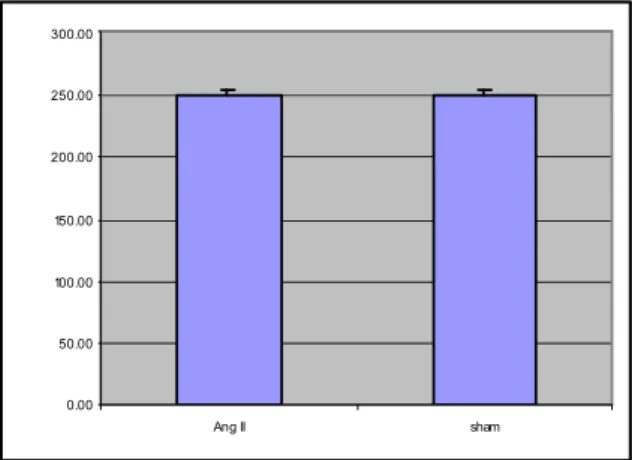 Fig. 1A. Initial bodily weight