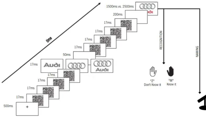 Figure 2.  Experimental procedure for the recognition and naming tasks. 