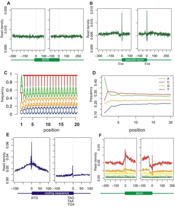 Figure 4. Control analyses of GRO-seq reads. (A) Analysis of 36,905 exonic compositions regions (ECRs) obtained from [32]