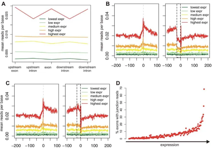 Figure 5. Analysis of effect of contamination of run-on experiment with mature RNA. (A) Mean number of GRO-seq read densities within exons and their flanking exons and introns as a function of expression levels obtained from [27], following normalization b