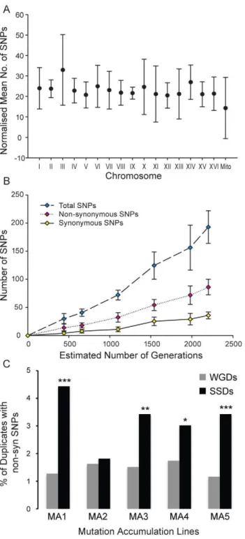 Figure 6. Distribution of single nucleotide polymorphisms in a mutation-accumulation experiment