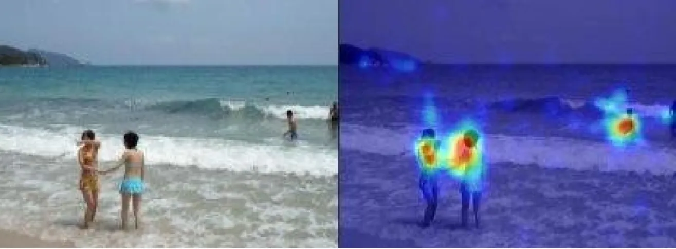 Figure 3 : Saliency map example