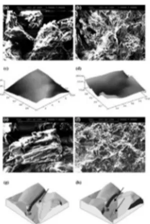 Figure 4. Micro and nano structural features of MCC and D- D-mannitol from SEM and AFM