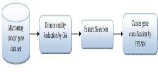 Fig 1: Proposed Microarray Gene Classification Technique  Structure 