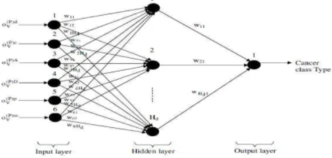 Fig 2: Proposed Gene Cancer Classification FFBNN Structure    The  FFBNN  network  is  well  trained  by  the  extracted  features  and  this  network  classifies  the  particular  column  gene  values  to  which  the  class  types  it  belong