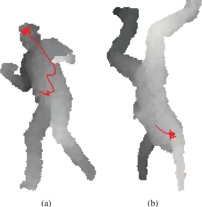 Fig 1. The red lines represent the random forest walks trained to find the position of the head