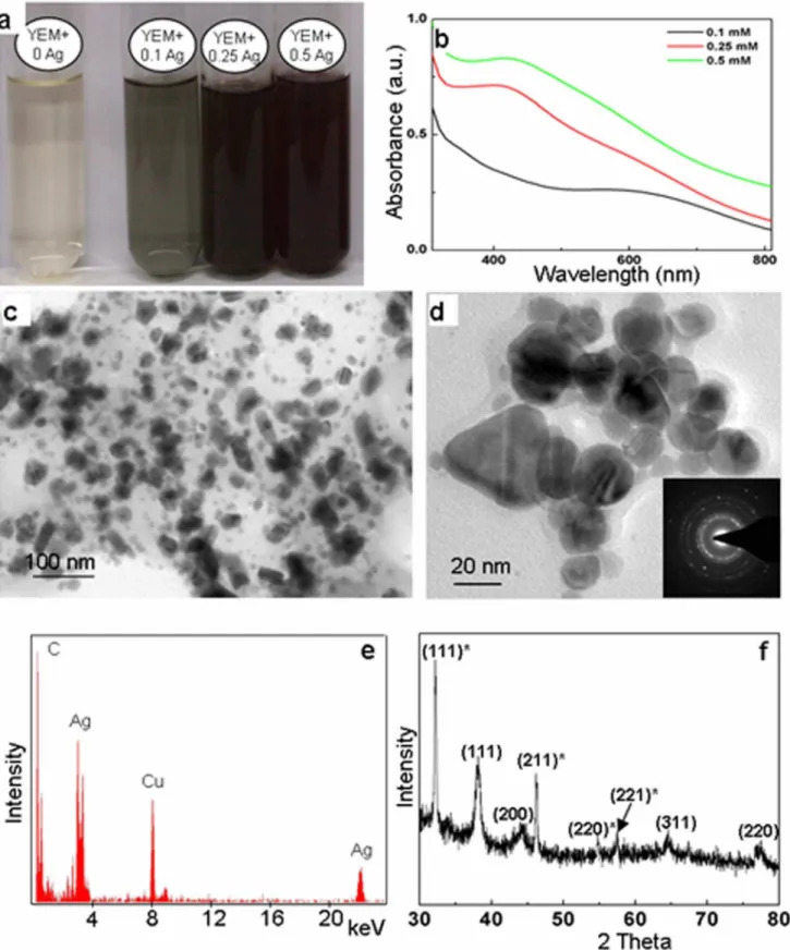 Figure 1. Evaluation of silver nanoparticles formed by autoclaving AgNO 3 with Yeast Extract Mannitol (YEM) medium