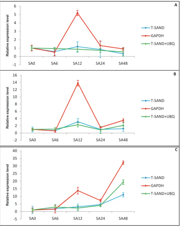 Fig 5. Relative expression level of withanolides biosynthesis genes in response to SA treatment