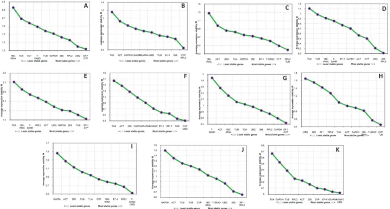 Fig 3. Expression stability and ranking of the candidate reference genes by geNorm. Expression stability and ranking of 11 reference genes calculated with geNorm in all the samples (A), Wounding (B), Salt (C), Drought (D), Heat (E), Cold (F), Tissue (G), M