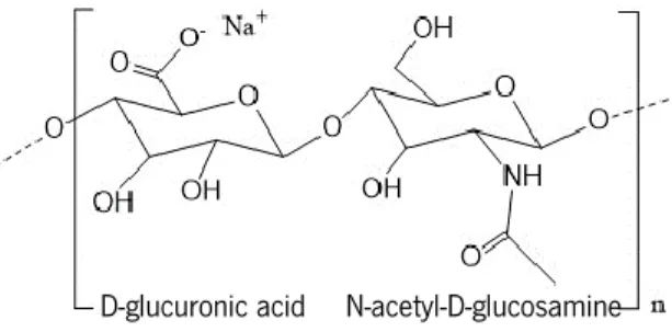 Figure  4.  Schematic  representation  of  sodium  hyaluronate,  a  hyaluronic  acid  (HA)  salt