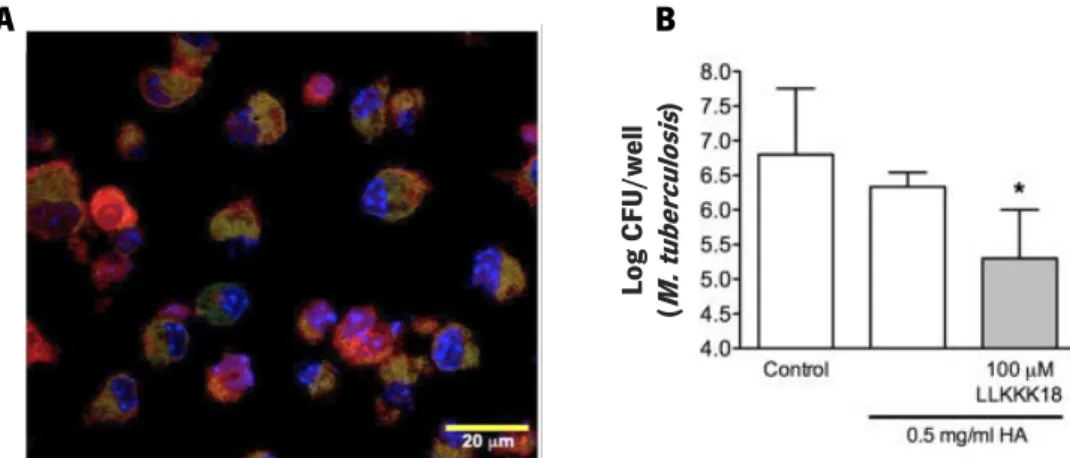 Figure 5. Results obtained by Silva et al. (2016) showing the effects of the LLKKK18-loaded nanogels