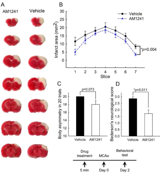 Fig 7. Pretreatment with CB2 agonist AM1241 reduced behavioral deficits and brain infarction in stroke rats