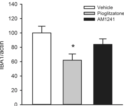 Fig 3. Post-treatment with pioglitazone attenuated the expression of IBA1 mRNA in lesioned cortex.