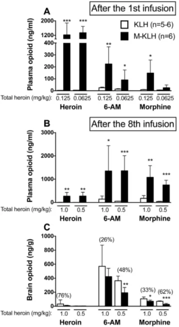 Fig. 4. Distribution of heroin and its metabolites in plasma and brain after i.v. infusion of 0.125 or 0.0625 mg/kg heroin
