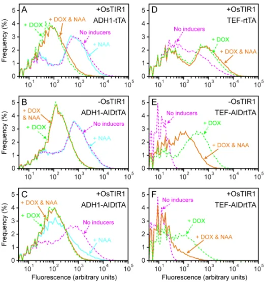 Figure 8. Gene expression control by AIDtTA and AIDrtTA: flow cytometry analysis. (A–F) The yeast strains YS129 (-OsTIR1) and YS114 ( + OsTIR1) were transformed with a reporter plasmid construct (TetO 7 -mCherry-NLS) together with the plasmid harboring the