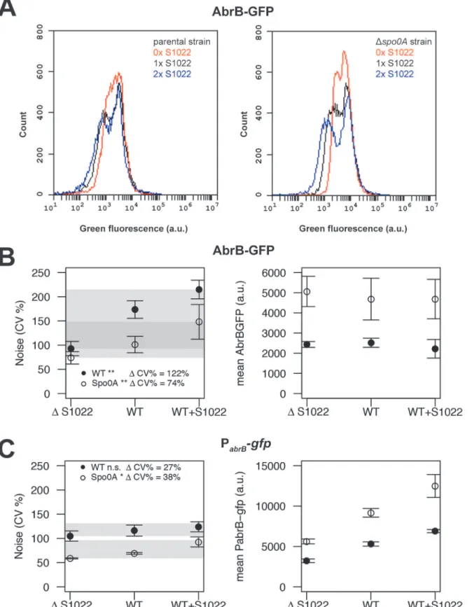 Fig 5. RnaC/S1022 induces protein expression noise of AbrB-GFP. A) Representative FC data for the translational AbrB-GFP fusion expressed from a single copy of the respective gene fusion integrated into the B