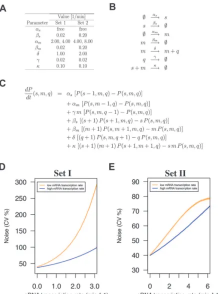Fig 6. sRNA regulation increases protein expression noise in a stochastic simulation model