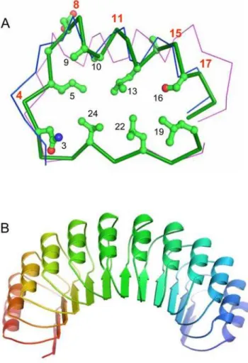 Figure 2 shows structural models of a single GALA-LRR and a complete set of LRRs (12 repeats) from GALA4 of Ralstonia solanacearum (strain MolK2, personal communication C