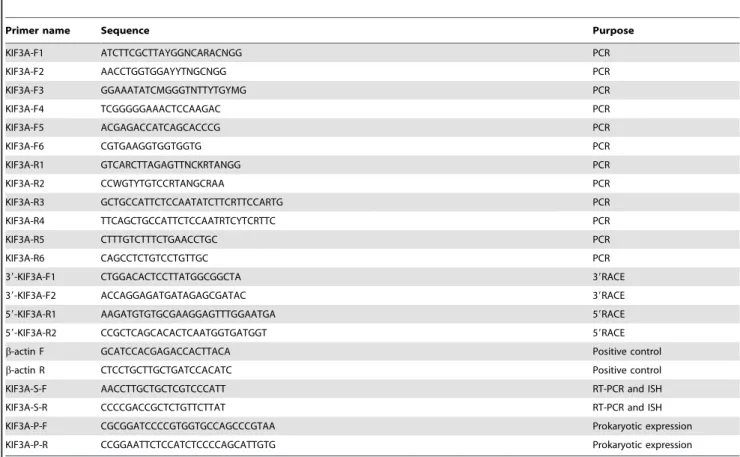 Table 2. The primers of kif3b used in this study.