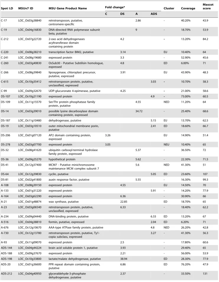 Table 4. Differentially expressed protein spots found in 5-azaC and drought treated samples.