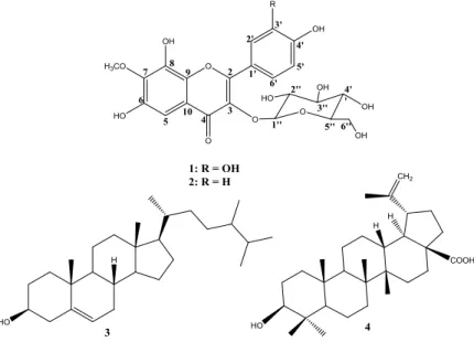 Figure 2. Key HMBC correlations of compounds 1 and 2 
