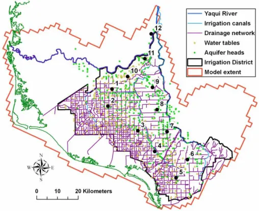 Fig. 5. Locations of wells with observed water table elevations and aquifer heads used for model calibration