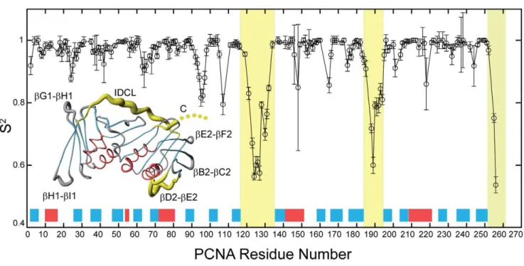 Figure 3. Thermodynamic parameters of the PCNA binding to p21 peptides. The bar diagram shows the change in free energy (DG), enthalpy (DH), and in the contribution of entropy to the free energy (2TDS) of the binding of PCNA to the p21 20 and p21 12 peptid