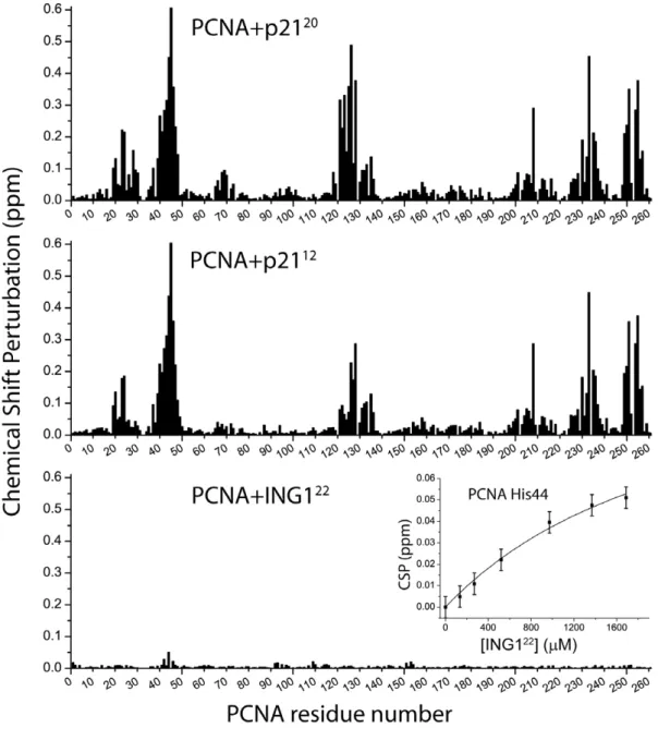 Figure 4. Chemical shift perturbations of PCNA backbone amide resonances caused by PIP-box peptides