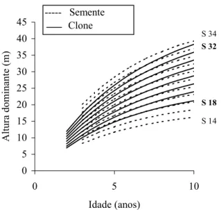 FIGURE 9: Comparison between site index curves built by Finger (1997) for Eucalyptus saligna, planted in  deep soil and with deep soil preparation, with the site index curves built for clones 2480 and  4013 in Group 3