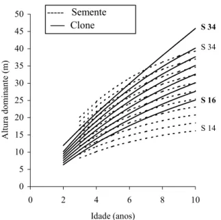 FIGURE 11: Comparison between site index curves built by Finger (1997) for Eucalyptus saligna, planted in  flat soil and with superficial soil preparation, with the site index curves built for clone 175 in  Group 2