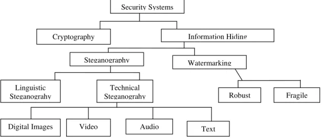 Figure 1.  The different embodiment disciplines of Information Hiding.  