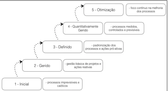 Figura 9 - Níveis CMMI 