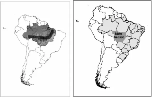 Figura 1 - Área descrita como “Arco do Desmatamento” da Amazônia legal e localização do Estado de Mato Grosso na América do Sul.