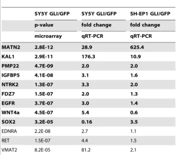Table 4. Genetic determinants of diverse NC fates are induced by Gli1 in SY5Y cells.