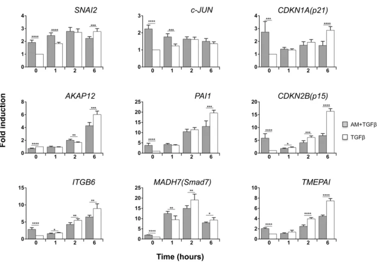 Fig 5. AM modified the genetic response induced by TGFß in human primary keratinocytes