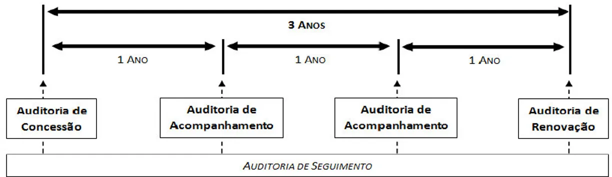 Figura 2  – Tipologias de auditorias que podem ocorrer num ciclo de certificação  (10) 