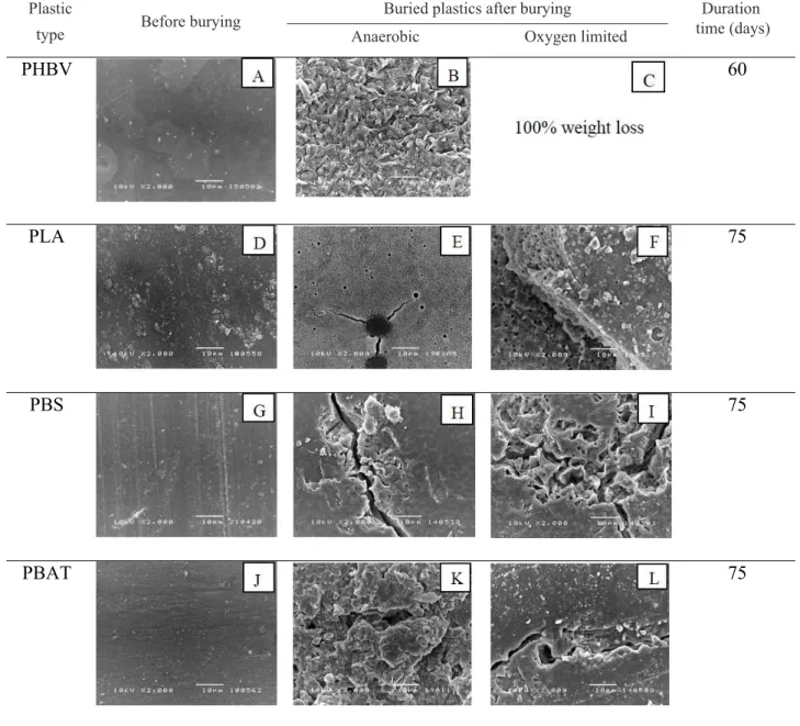 Table 4. SEM micrographs (2,000X) of plastic surfaces before burying: (A) PHBV; (D) PLA; (G) PBS; and (J)  PBAT, after burying under anaerobic conditions: (B) PHBV; (E) PLA; (H) PBS; and (K) PBAT, after burying  under oxygen limited conditions: (C) PHBV; (