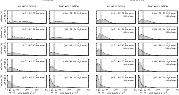 Figure 4. Distribution of leaf saturation state in the canopy in terms of percentage of leaf area at midday