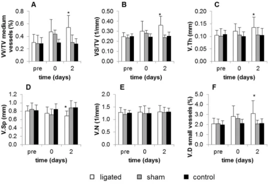 Figure 5. Time course of vascular parameters. A–E represent parameters calculated for medium vessels from morphometric analysis, while F is calculated for small vessels from densitometric analysis