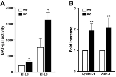 Figure 1. Wnt/b-catenin signaling activity is elevated in Cby 2/2 lungs. (A) BAT-gal reporter activity was measured in lung homogenates from Cby +/+ and Cby 2/2 embryos carrying the BAT-gal transgene at E15.5 and E16.5 (n = 3 per genotype per embryonic sta