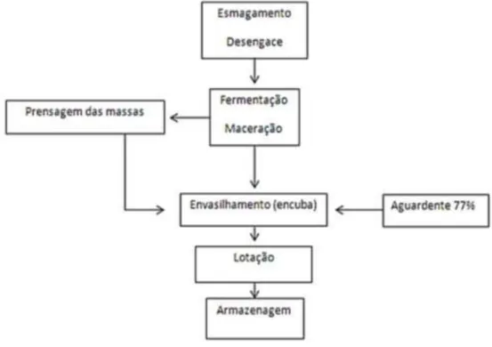 Figura 1.3. Esquema do processo de vinificação do Vinho do Porto  1 . 