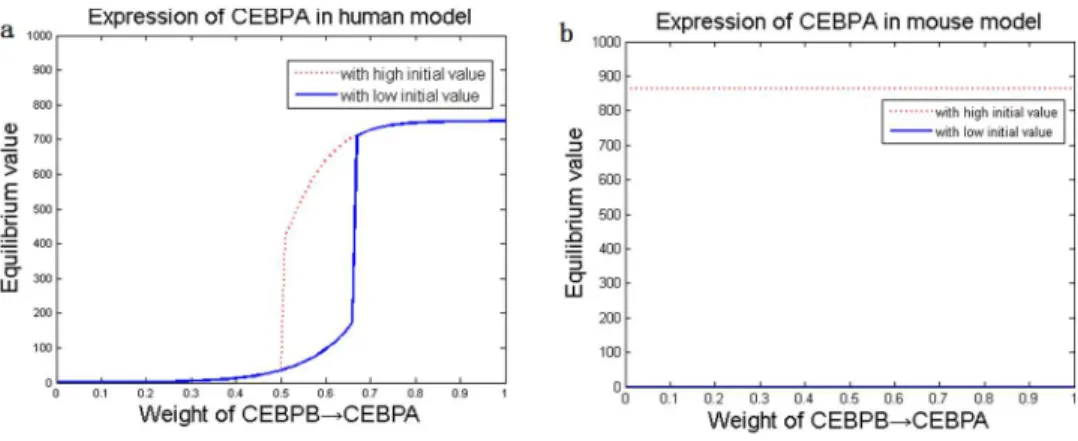 Figure 5. Steady-state gene expressions in human and mouse adipocyte differentiation. The bistable states of CEBPa ( a , b ) and PPARc ( c , d ) due to elevation of CEBPb transcription rate, bistability of CEBPb ( e , f ) and PPARc ( g , h ) due to CEBPa e